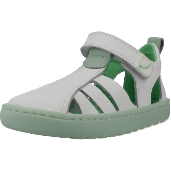 Cangrejera Barefoot Blanditos Verde